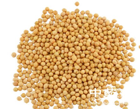 美容食物 专属于女人的不老药