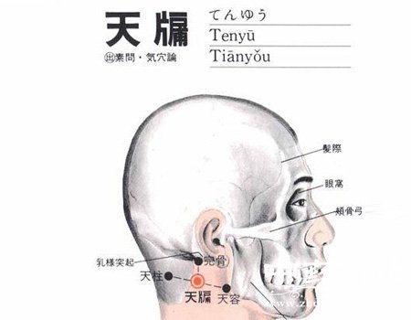 天牖穴位位置图