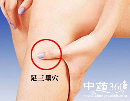 足三里穴