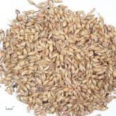 <a href='https://www.zhongyao360.com/z/maiya/' target='_blank'>麦芽</a>