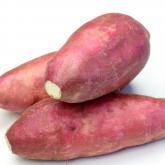 红薯