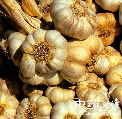 4大臭味食物,美容养生效果更好