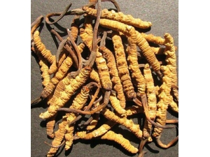 �����˳�ʲô�� �����ĲݵĽ�������