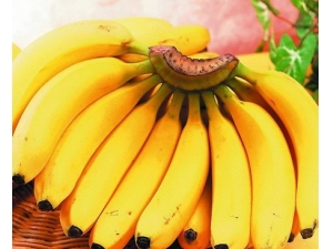 夏季美容养颜又抗暑的水果大全