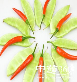 7种有毒蔬菜千万别吃,小心食物中毒