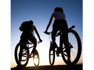 �����г������� �����г����ɲ�֪������