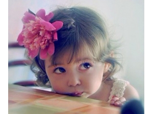 ����ڲ���������һ�ܼ���Ȭ��