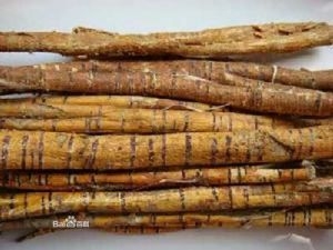 ɣƤĹЧ ɣƤĸüʳ÷