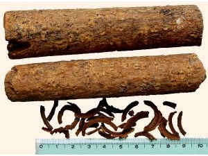 ���ӵĹ�Ч������ ���ӵĸ����ü�ʳ�÷���