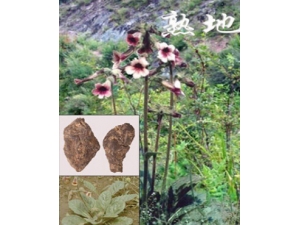 ��صĹ�Ч�����ü�����