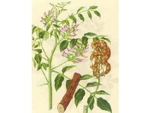 ���εĸ����� ������ˮ�ȵĽ���