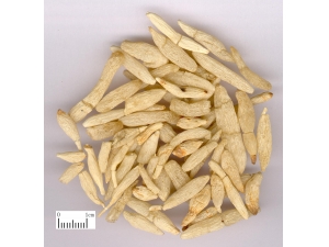 �󶬵Ĺ�Ч������