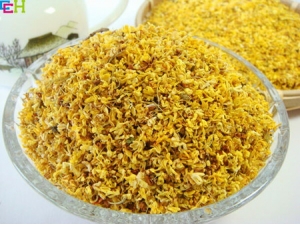 �𻨲�Ĺ�Ч������