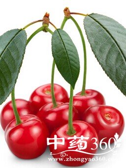 白癜风怎么治疗,夏季白癜风患者吃什么好