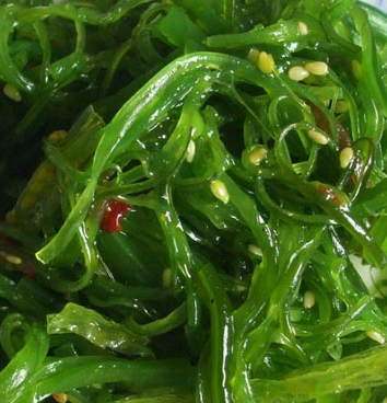 ���ɶԿ�˥�ϵ����ݻ�������