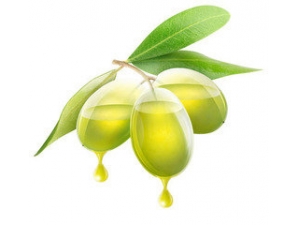 С���Ƽ� ���ݷ���֮�����