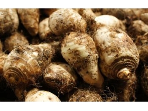 �������ͷ�ɲ�������