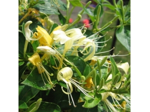 ��ð��ô�� ������Ԥ�����������Ը�ð