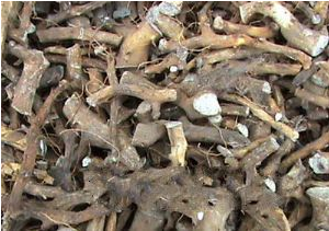 ��ɽ����ʲô����|��Ч|������ ��ɽ����ʳ�÷���