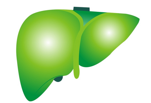 ����������ǿ�ι������㲻���°�ҹ������̻��˸�