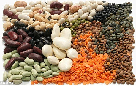 �ϰ෸����ô�죿ֻ��ʳ�����ɽ������