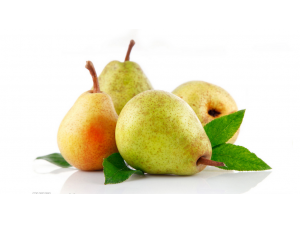 �桪�������������֮�ѹ�