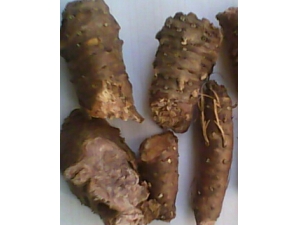 红景天胶囊 红景天胶囊抗衰老作用