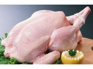 �������� ��ʳ������Щ��Ҫע��ģ�?