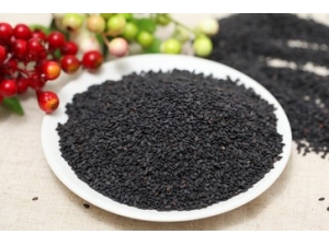 ��֥��Ĺ�Ч������ ��֥��8��Ч