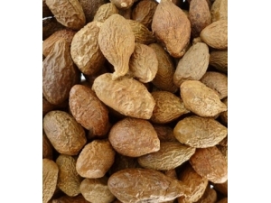 �ִ󺣿��Գ��� �ִ��ж���