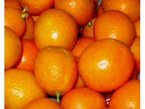 ��۵Ĺ�Ч������