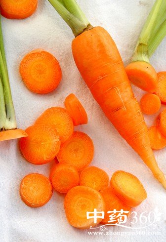 补血的食物有哪些,最佳补血八种食物