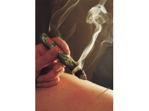 ���ĵ����� ��ҽ�������Ů�����ں���