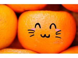 ���ݻ���С���� ʮ����������ʳ��