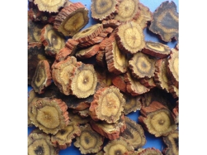 �¾�������ô�� ��Ѫ��������ҩ