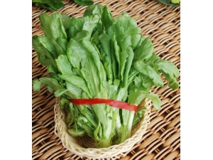 ��ɫ�߲� ʶ����ɫ�߲ˡ�������