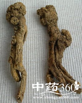 Ԥմ֢,<a href='https://www.zhongyao360.com/z/dangshen/' target='_blank'></a>ɷմ