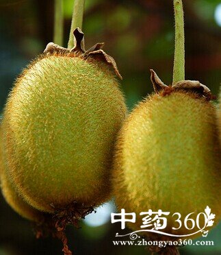 水果连连看,看你是否在吃水果时“犯错”