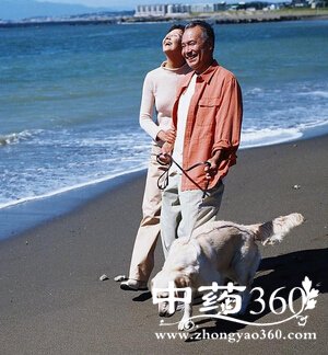 如何缓解疲劳,老年人解疲除湿踢踢小腿肚