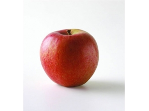 СĳԴʳﲿλ ʳ䶾ҩ