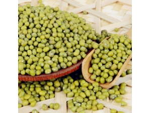 �̶��Ĺ�Ч ʳ���̶����˼�