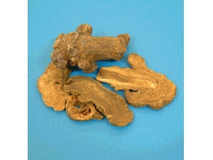 �����Ĺ�Ч ����������Щ��;��