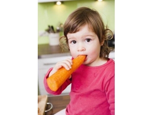 �׶�����С��ʶ �׶�����Ҫ����ʮ������