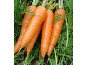 ���в��ñ���ҩ ��Ժ��ܲ����԰��������