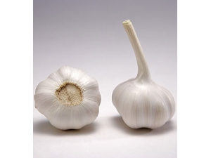 ��������ɱ����Ч�� �����˲��˳Դ���