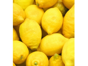 ̵����ô�� �����������Ȼ�̵