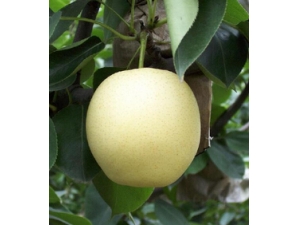 θ�����ʲô�� ����θ����ó�ʲôˮ����