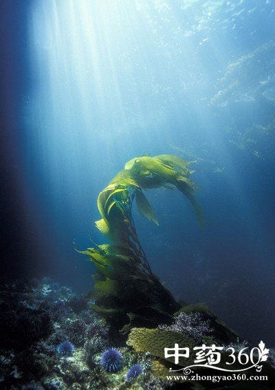 抗衰老最好的方法,轻松对抗衰老