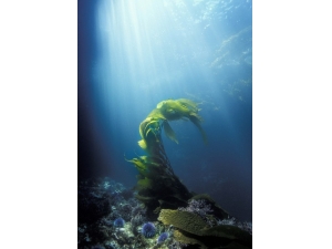 抗衰老最好的方法 轻松对抗衰老