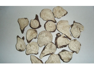 ����������˥��ƫ��